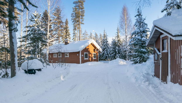 Aamunsarastus - Foto 5, Inside other