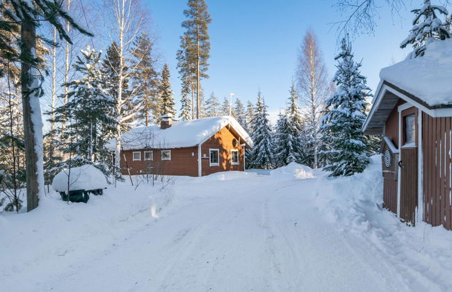 Aamunsarastus - Foto 5