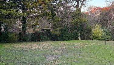 Texas Modern Farmhouse retreat - Foto 2