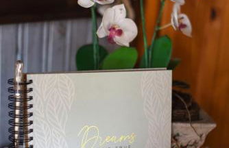 Harzglück - Foto 12