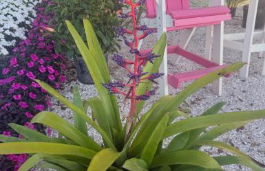 The Getaway - Foto 43