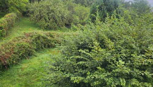 Maison Bourgogne - Foto 5