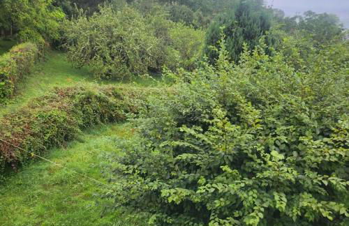 Maison Bourgogne - Foto 5