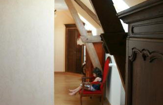 Biologite - Foto 26