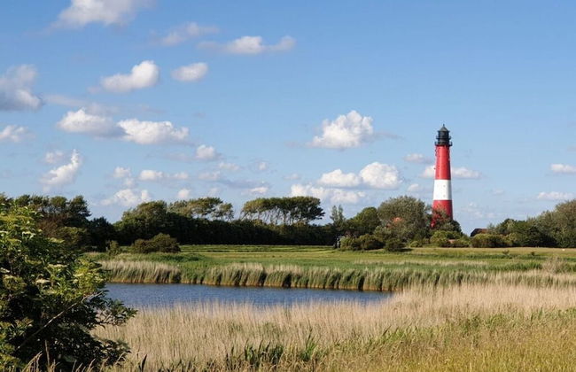 Pellworm Ostersiel 1 - Photo 16