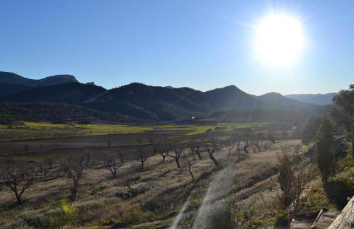 Mas de Salvador - Foto 8