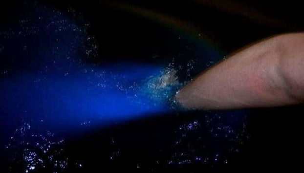 Bioluminescenza della laguna