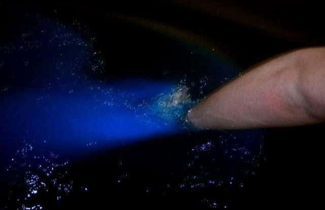 Night Tour of the Manialtepec Lagoon - Photo 4