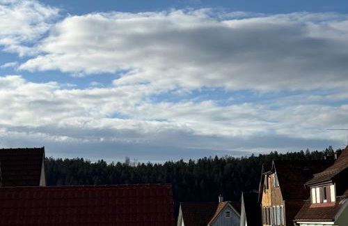 Direkt am Marktplatz - Freudenstadt und Schwarzwald erleben - Foto 15