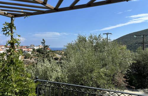 Divas Gartenhaus - Foto 24