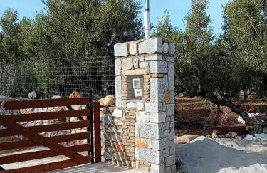 villa bilimots - Foto 10