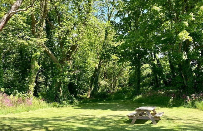 Secluded Cottage With hot tub - Foto 9