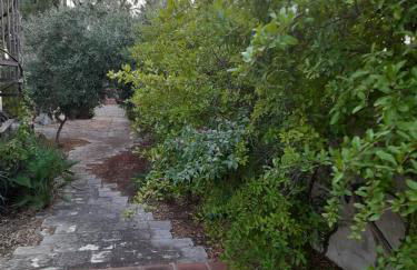 Villa Rossi - Foto 53