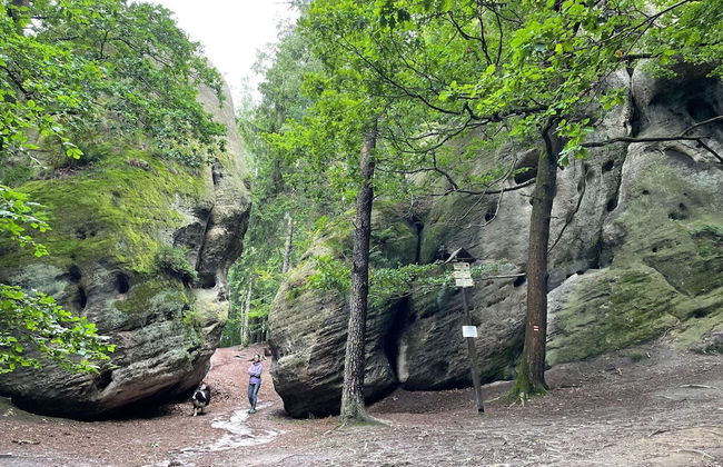 Holiday Home Knezice Near Jested Ski - Photo 21