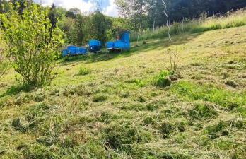 Ferienwohnung fleißige Biene - Foto 24