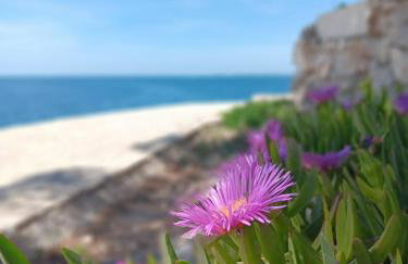 Drazena Buntin Apartments - Photo 25