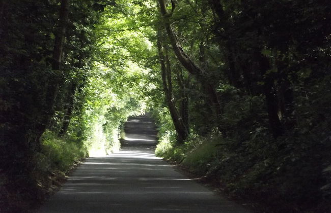 Bridge Farm Holiday Cottages - Foto 63