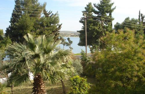 Elea Guesthouse - Photo 74