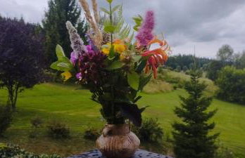 Górska Polana, Stronie Śląskie - Młynowiec - Foto 30