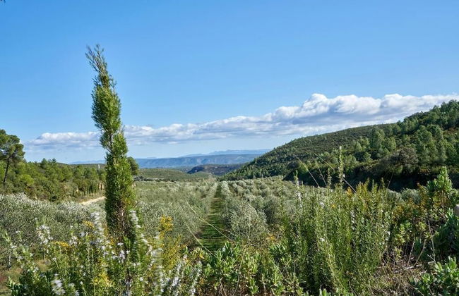 Masia Heredad La Boquilla - Foto 38