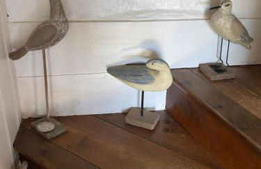 Penty bigouden - Photo 14