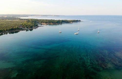 Apartments Vojvoda - Foto 37