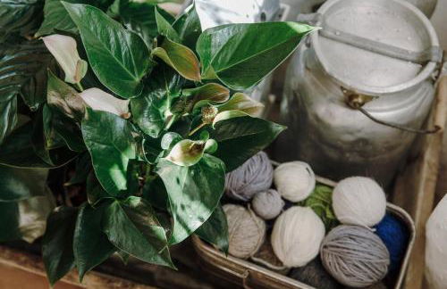 Il Borghetto di Pedevilla casa in montagna - Foto 57