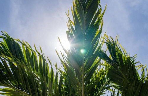 Victoria Park Oasis with Heated Pool and More - Foto 86