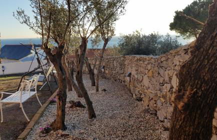 Poggio degli Ulivi - Foto 64