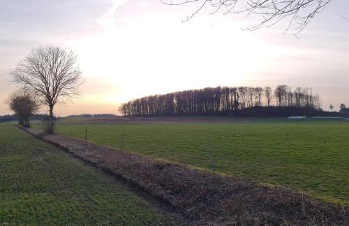 Ferienwohnung Dreher - Foto 8