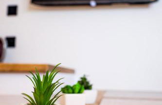 RAJSKA PLAZA Poddąbie Basen odkryty brodziki Basen kryty Plac zabaw Animacje - Foto 22