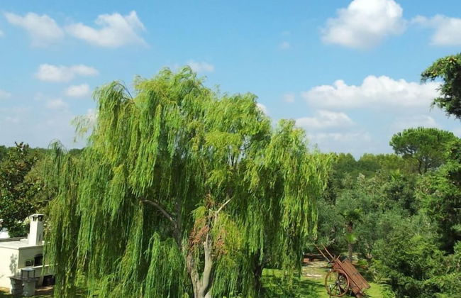 Defabrivillage - Photo 49