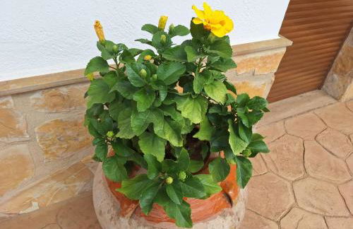 La Palmera Casa Rural - Foto 31