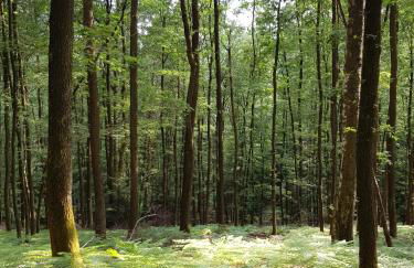 Urlaubs(t)raum - Foto 20