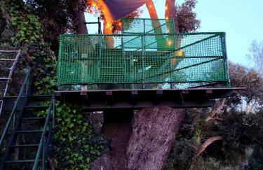 La Casetta sul Lago - Foto 17