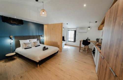 Vina Rhona - Studio de charme tout équipé entre Rhône et Vignobles de Condrieu - Foto 15