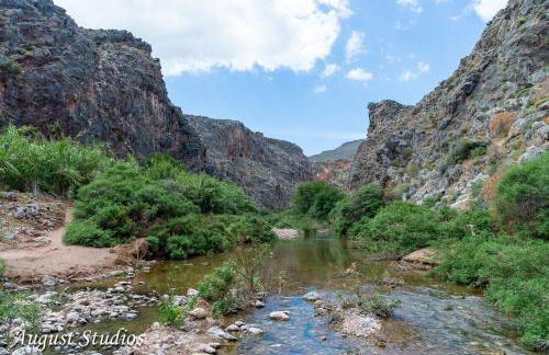 Cretan Minoan Apartments - Foto 51