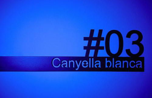 Dormsy Pension Boutique - Foto 21