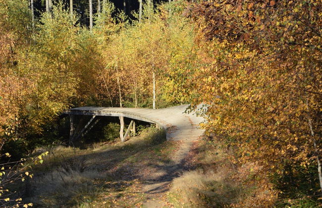 Lavish Retreat in Bad Ems - Foto 42