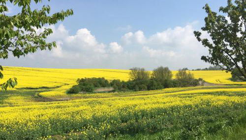 Apartment Amylee - Photo 4