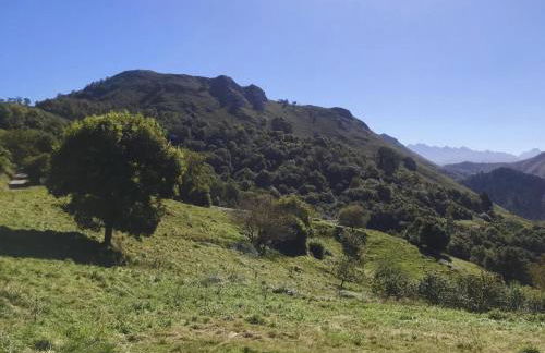 CANGAS DE ONIS RURAL HOUSE WITH VIEWs - Foto 22