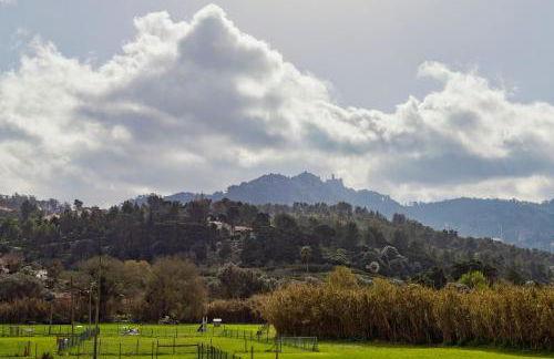 Tranquility By Sintra - Foto 5