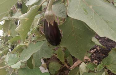 aaaaaaaaaaaaaaaaaaaaaaaaaaaa - Foto 2