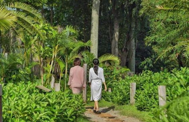 The Coffee City - Healing & Retreats - Foto 57