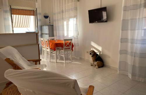 Tre passi a mare - Foto 16