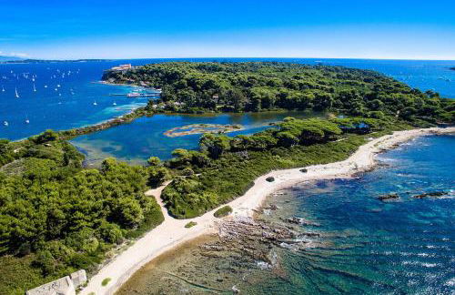 Paradise Cannes Center with Pool and Park VILLA LE LYS - Foto 19