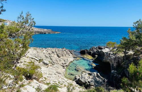 Cottage Vittoria - Marina di Novaglie - Foto 40