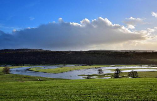 The Mews @ The Pheasant - Foto 34