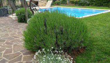 Apartments Leone - Foto 5