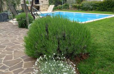 Apartments Leone - Photo 5